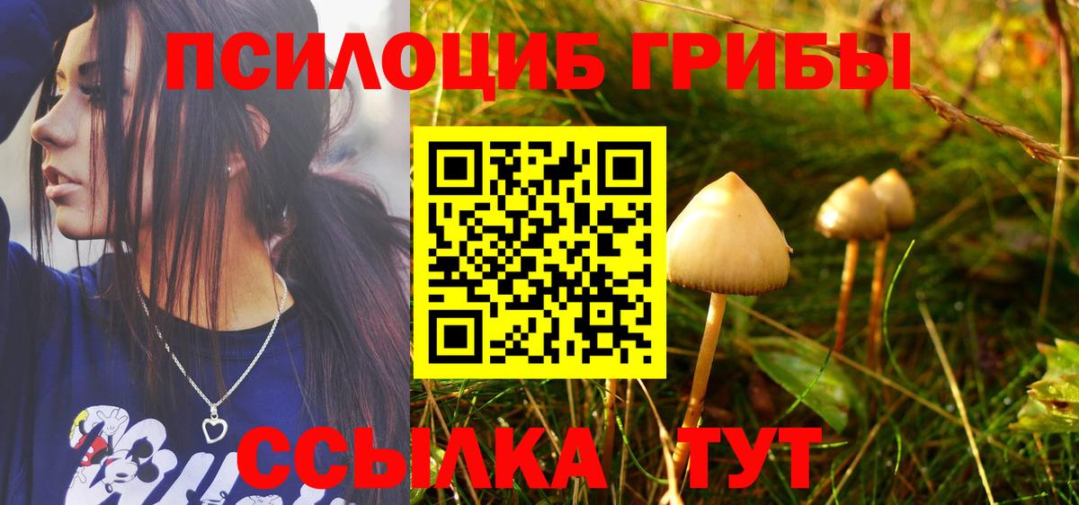 Псилоцибиновые грибы ЛСД Малоярославец