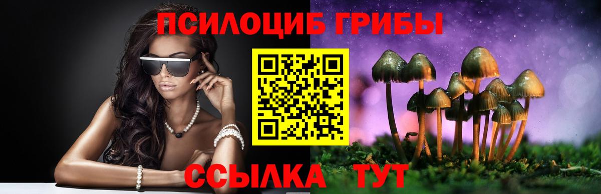 Псилоцибиновые грибы MAGIC MUSHROOMS  Вход с VPN  наркота  Малоярославец  Галлюциногенные грибы MAGIC MUSHROOMS 
